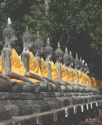 thailand temple by emanuele molinari