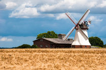 Windmühle I - Lüneburger Heide von elbvue von elbvue