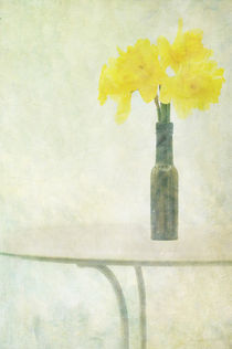 Springtime von Marion Galt