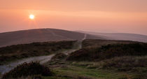 The road to Cefn Bryn, Gower by Leighton Collins