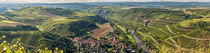 Nahetal-Panorama vom Lemberg (1) von Erhard Hess