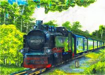 Rasender Roland, Eisenbahn by anel