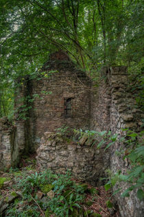 Derelict Cottage by David Tinsley