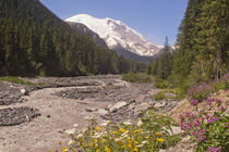White River and Mount Rainier by Peter J. Sucy