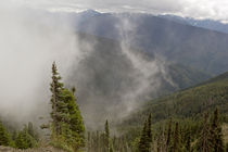 Mists Olympic National Park von Peter J. Sucy
