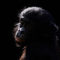Bonobo-1409-0016