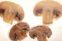 Eiskalte Champignons - Frozen mushrooms by Marc Heiligenstein