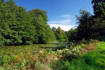 Mere Pond in Calke Park von Rod Johnson