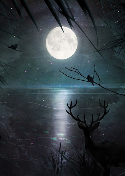 When-the-moon2-displate