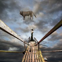 Catch The Bull by Dariusz Klimczak