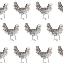 Chickens by Caroline Allen