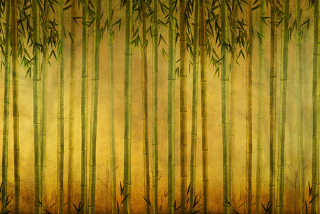 Bamboo-rising