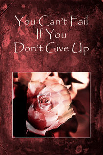 Don't Give Up by Randi Grace Nilsberg