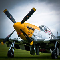 P51-D Mustang von Moorstone Images