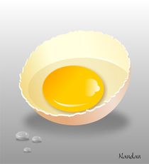 Egg Yolk by Nandan Nagwekar