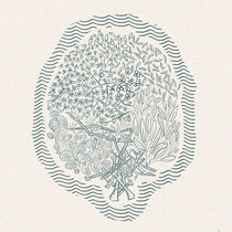 Tree and woods by Jiahui Ho