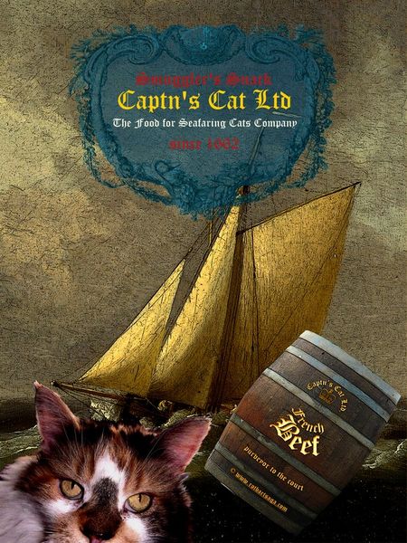 Captncatsposter10