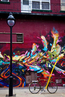 Wall art, Montreal, Canada von Tasha Komery