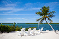 For a view, Morada Bay, Florida, USA von Tasha Komery