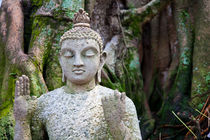 Buddha, Colombo by Tasha Komery