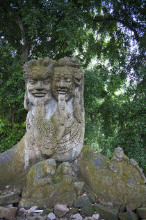 Deity statue, Monkey Jungle von Tasha Komery