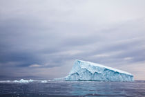 Iceberg 2, Newfoundland, Canada von Tasha Komery