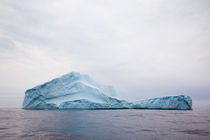 Iceberg 1, Newfoundland, Canada von Tasha Komery