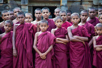 Young monks, Pollonaruwa von Tasha Komery