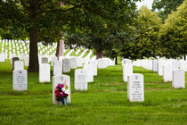 Arlington Cemetery, Washington, D.C., USA by Tasha Komery