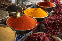 Spices, Udaipur von Tasha Komery