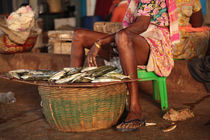 Fish monger, Goa von Tasha Komery