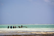 Oyster Fisherwomen, Zanzibar von Tasha Komery