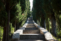 St. Antony's Stairway, Korcula, Croatia by Tasha Komery