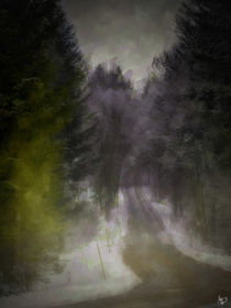 Road to Magic Forrest von Michael Pölz