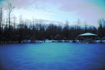 Frozen Pond, 2014 von Caitlin McGee
