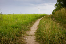 Meadow Path von Patrycja Polechonska