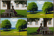 Viererbild "Baum und Schatten" by lisa-glueck