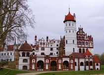 Schloss Basedow, chateau, castle, castillo by Sabine Radtke