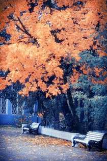 Autumn Park by cinema4design