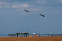 Thumper and Vera Over Southport Pier by Roger Green