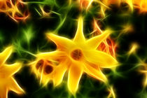 Yellow Flower von mario-s