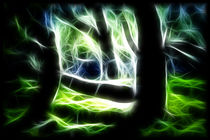 Mystical Forest von mario-s