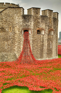 Poppies at the Tower  von Martin Williams