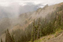 A View from Hurricane Ridge by Peter J. Sucy