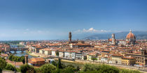 Florence Panorama von David Tinsley