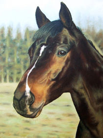 Pferde Portrait von Nicole Zeug