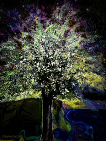 Oberons-tree-watermarked-large