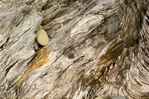 Driftwood and Pebbles Abstract von Peter J. Sucy