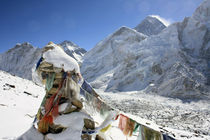 Mount Everest by Gerhard Albicker