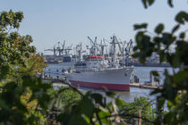 Die Cap San Diego im Hamburger Hafen by ta-views